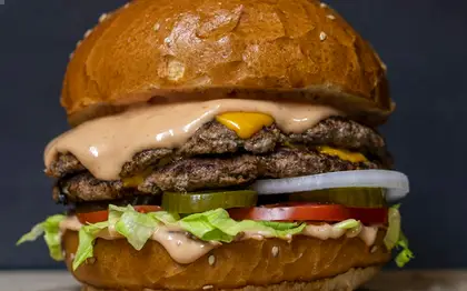 Cheese Burger — Light Sauce