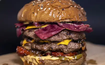 Cheese Burger — No Onion