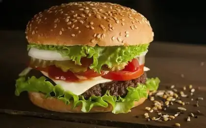 Veggie Burger Style