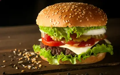 Veggie Burger — No Pickles