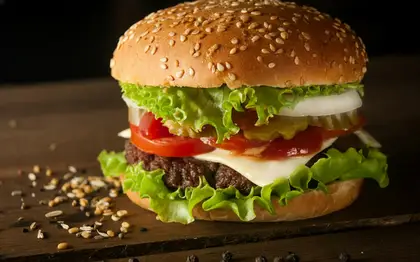 Zinger Burger — Light Sauce