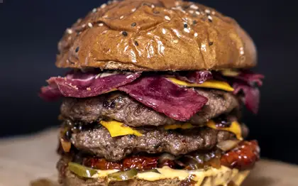 Zinger Stacker — No Pickles