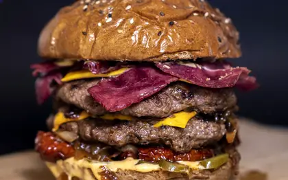 Zingerina Burger Style — No Onion